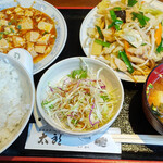 Tarou - 麻婆豆腐と野菜炒めの定食