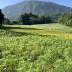 らー麺　Do・Ni・Bo - イイ天気だぁ〜☀️