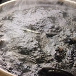 Kaishin - いかすみ鍋