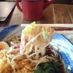 Sobadokoro Nagoya - 薬味を乗せて蕎麦を手繰ります