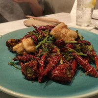 CINA New Modern Chinese - 