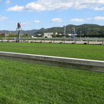 玉萬茶寮 - 芝がきれいです。初日の芝はいいね♪