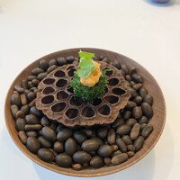 Installation Table ENSO L'asymetrie du calme - 