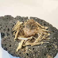 Installation Table ENSO L'asymetrie du calme - 