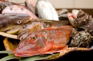 心屋 - 美味しいお魚の理由、たった一つ。それは昔から仲良しの淡路島の漁師友達が直接！お店まで その日獲れ立ての魚介類を配達してくれているから!! 