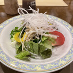 Sutekihausu Oone - サラダ！ドレッシングはごまか和風の2種から選べます。