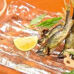 おおさか料理 淺井 東迎 - 稚鮎の塩焼
