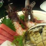 鮨 仙一 - 中トロ、ぶどう海老、アワビ