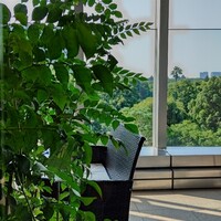 中国料理 礼華 四君子草 - 