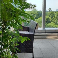 中国料理 礼華 四君子草 - 