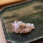 いしまる - "新纜魚十腕（しんいかげそ）"