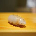 Tomidokoro - 真鯛