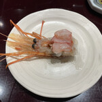 亀喜寿司 - 親方おまかせにぎりコース　ボタン海老