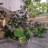 熱香森 - 