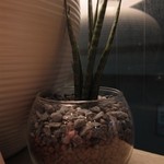 ビア パブ カムデン - 