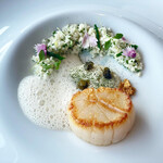 アジュール フォーティーファイブ - 