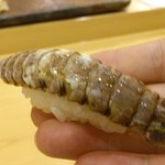 鮨 いとう - 蝦蛄。リフト(^-^)/