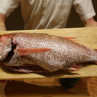 米増 - 特大サイズののどくろ！