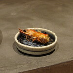 鮨 ともあき - 車海老の頭