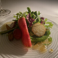 TRATTORIA KIKUYA - 