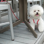 エビスエスクラッシコ - エスに行きますよ〜♬