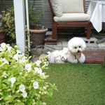 エビスエスクラッシコ - 嬉しくて〜思わずジャンプ！