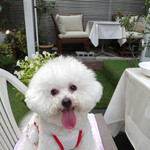 エビスエスクラッシコ - エスの ’テラス・ディナー’ であればこそ！の此の笑顔！！