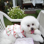 エビスエスクラッシコ - ベアトリーチェにもお水〜♬