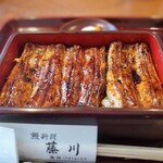 Unagi Fujikawa - 