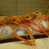 鎌倉 北じま - 赤座海老