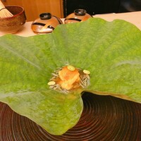 山玄茶 - 