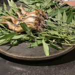 フロリレージュ - 