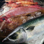 Sashiagete - ご覧の通り魚の鮮度も最上級！