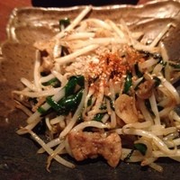 KOiBUMi - 