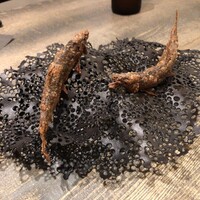 レヴォ - 