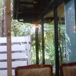 パッ・ド・シャー - 店内から林の木洩れ陽を見る