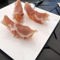 フォリオリーナ・デッラ・ポルタ・フォルトゥーナ - 