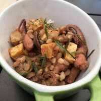 フォリオリーナ・デッラ・ポルタ・フォルトゥーナ - 