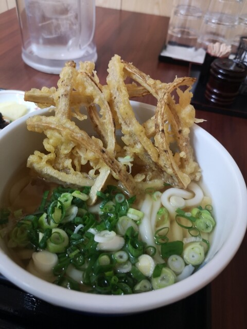 たぬき 萩 うどん 食べログ たぬき 萩 うどん 食べログ