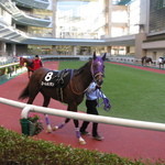 玉萬茶寮 - 彼がﾛｰﾚﾙｿﾗﾝ、俺を見てる（笑）頑張れよ♪