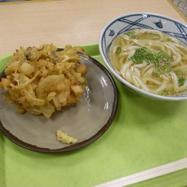 閉店 はすい亭 ダイエー南行徳店 南行徳 うどん 食べログ 閉店 はすい亭 ダイエー南行徳店 南行徳 うどん 食べログ