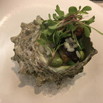 COLTa - サザエとオクラのしじみリゾット