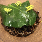 COLTa - おかわかめは1番上の葉。この下に青生海苔と鰯が隠れんぼ。