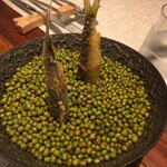 COLTa - 刺さってる