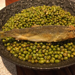 COLTa - 救出しました稚鮎！