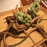 COLTa - 久保農園の枝豆