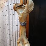 一条流がんこ総本家分家四谷荒木町 - 