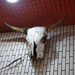 一条流がんこ総本家分家四谷荒木町 - 