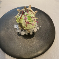 リストランテ・ホンダ -  リストランテ・ホンダ -