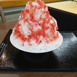 けずりひ ヒロモリ - 横からの図